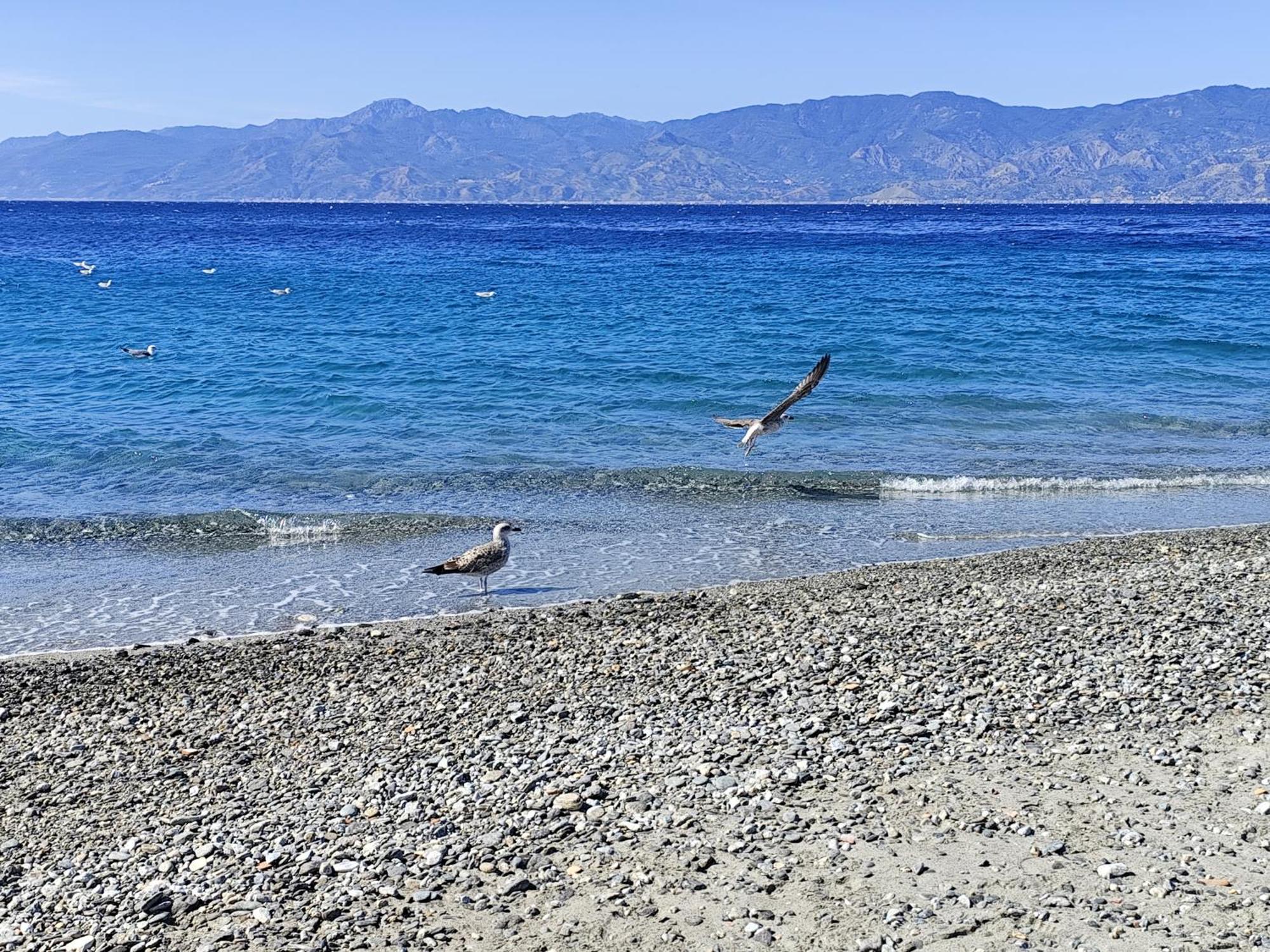 La Casa Sul Viale Daire Reggio di Calabria Dış mekan fotoğraf